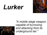 lurker.gif